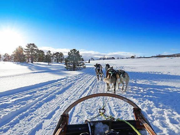 Bargain Fares to Norway