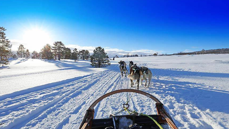 Bargain Fares to Norway