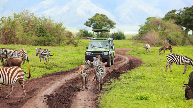 Bargain Flights, Bargain Flights From London, Blog, Cheap Flights, Cheap Flights From London, cheap flights from united kingdom, cheap flights to arusha, cheap tickets, cheap travel, direct flights, direct flights to arusha, Emirates Airline, flights, Flights Booking, Flights From London, Flights From United Kingdom, Kenya Airways, last minute flights, last minute flights to arusha, arusha food, Qatar Airways, special offers, travel, Traveling, Turkish Airlines, United Kingdom, arusha, arusha cuisine, arusha food, arusha Travel Guide, arusha Blog, arusha blog, arusha tourism, arusha travel blog, arusha tour, arusha tourism places,